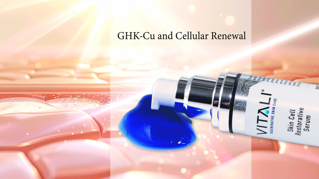 What Is GHK-Cu? How Copper Peptides Support Collagen, Skin Repair & Healthy Aging – Vitali Skincare
